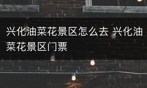 兴化油菜花景区怎么去 兴化油菜花景区门票