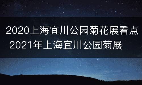2020上海宜川公园菊花展看点 2021年上海宜川公园菊展