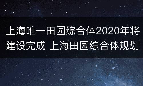 上海唯一田园综合体2020年将建设完成 上海田园综合体规划公司