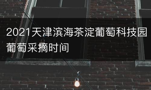 2021天津滨海茶淀葡萄科技园葡萄采摘时间