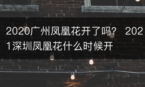 2020广州凤凰花开了吗？ 2021深圳凤凰花什么时候开