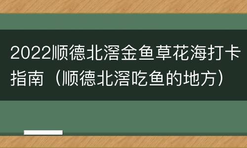 2022顺德北滘金鱼草花海打卡指南（顺德北滘吃鱼的地方）