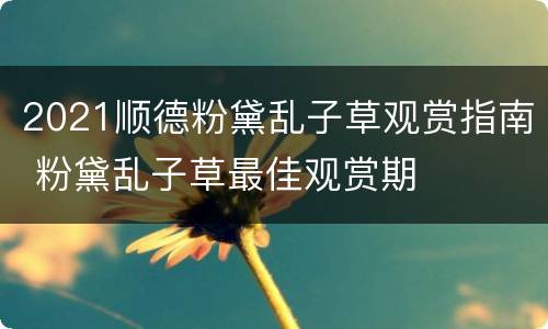 2021顺德粉黛乱子草观赏指南 粉黛乱子草最佳观赏期