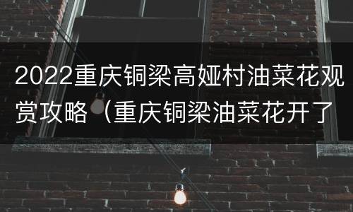 2022重庆铜梁高娅村油菜花观赏攻略（重庆铜梁油菜花开了吗）