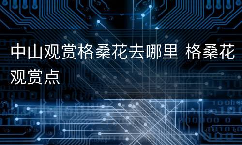 中山观赏格桑花去哪里 格桑花观赏点