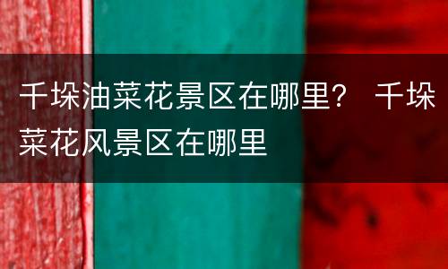 千垛油菜花景区在哪里？ 千垛菜花风景区在哪里