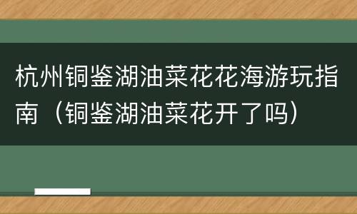 杭州铜鉴湖油菜花花海游玩指南（铜鉴湖油菜花开了吗）