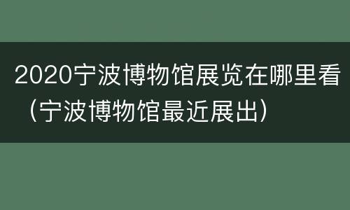 2020宁波博物馆展览在哪里看（宁波博物馆最近展出）