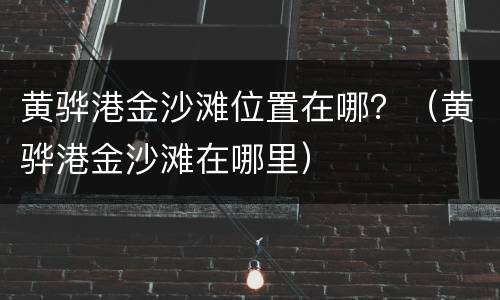 黄骅港金沙滩位置在哪？（黄骅港金沙滩在哪里）