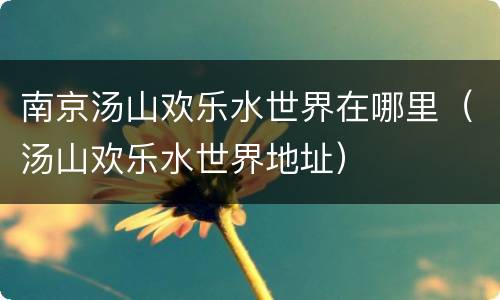 南京汤山欢乐水世界在哪里（汤山欢乐水世界地址）