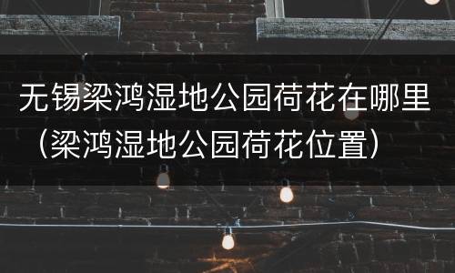 无锡梁鸿湿地公园荷花在哪里（梁鸿湿地公园荷花位置）