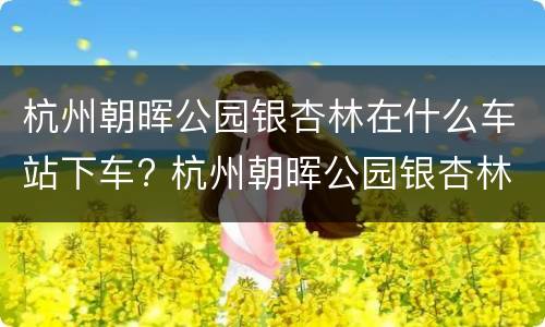 杭州朝晖公园银杏林在什么车站下车? 杭州朝晖公园银杏林坐几路车?