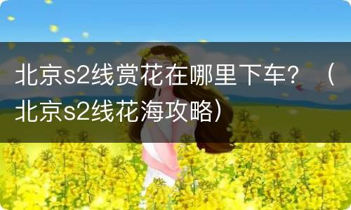 北京s2线赏花在哪里下车？（北京s2线花海攻略）