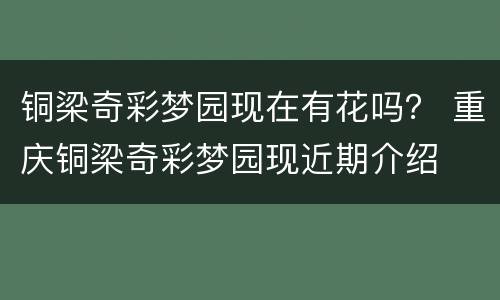铜梁奇彩梦园现在有花吗？ 重庆铜梁奇彩梦园现近期介绍