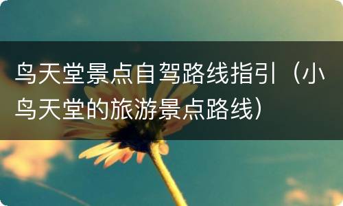 鸟天堂景点自驾路线指引（小鸟天堂的旅游景点路线）
