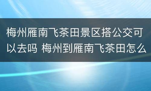 梅州雁南飞茶田景区搭公交可以去吗 梅州到雁南飞茶田怎么坐车
