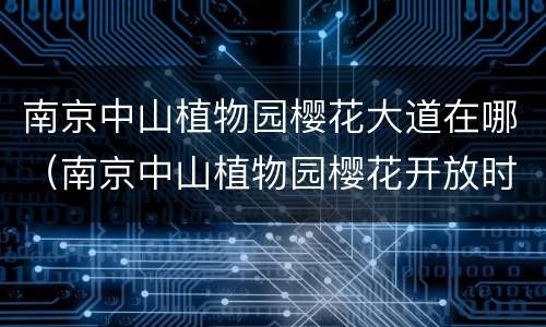 南京中山植物园樱花大道在哪（南京中山植物园樱花开放时间）