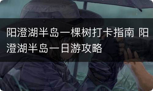 阳澄湖半岛一棵树打卡指南 阳澄湖半岛一日游攻略