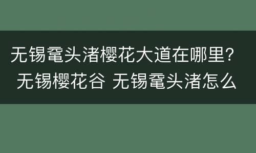 无锡鼋头渚樱花大道在哪里？ 无锡樱花谷 无锡鼋头渚怎么走