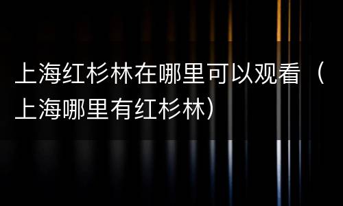 上海红杉林在哪里可以观看（上海哪里有红杉林）