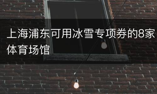 上海浦东可用冰雪专项券的8家体育场馆