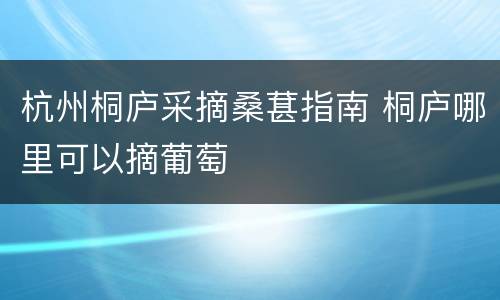杭州桐庐采摘桑葚指南 桐庐哪里可以摘葡萄