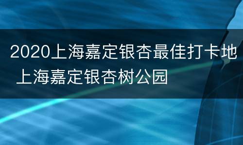 2020上海嘉定银杏最佳打卡地 上海嘉定银杏树公园