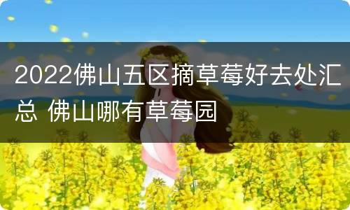 2022佛山五区摘草莓好去处汇总 佛山哪有草莓园