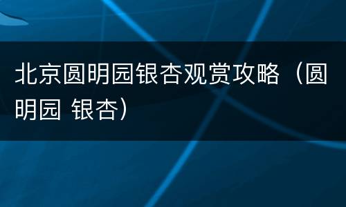 北京圆明园银杏观赏攻略（圆明园 银杏）