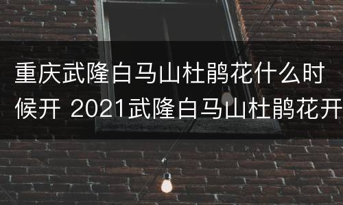 重庆武隆白马山杜鹃花什么时候开 2021武隆白马山杜鹃花开了吗