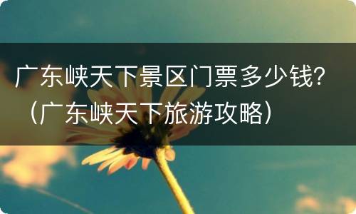 广东峡天下景区门票多少钱？（广东峡天下旅游攻略）