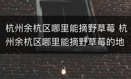 杭州余杭区哪里能摘野草莓 杭州余杭区哪里能摘野草莓的地方