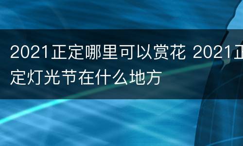 2021正定哪里可以赏花 2021正定灯光节在什么地方