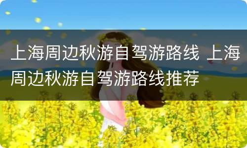 上海周边秋游自驾游路线 上海周边秋游自驾游路线推荐