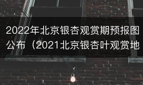2022年北京银杏观赏期预报图公布（2021北京银杏叶观赏地点）