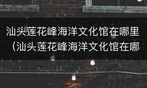 汕头莲花峰海洋文化馆在哪里（汕头莲花峰海洋文化馆在哪里啊）