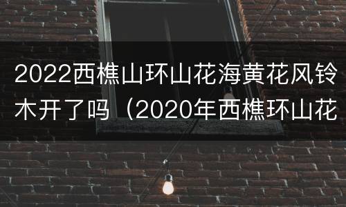 2022西樵山环山花海黄花风铃木开了吗（2020年西樵环山花海开花了吗）