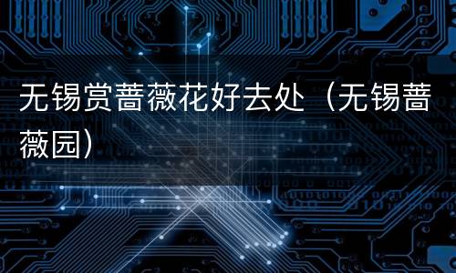 无锡赏蔷薇花好去处（无锡蔷薇园）