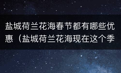 盐城荷兰花海春节都有哪些优惠（盐城荷兰花海现在这个季节开放吗）