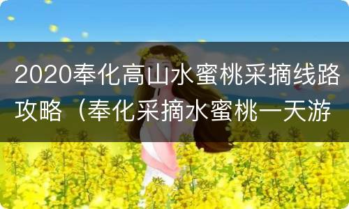 2020奉化高山水蜜桃采摘线路攻略（奉化采摘水蜜桃一天游）