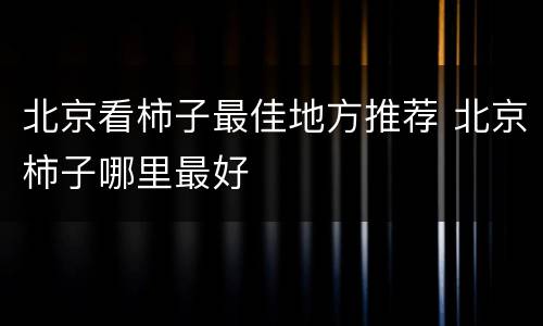 北京看柿子最佳地方推荐 北京柿子哪里最好