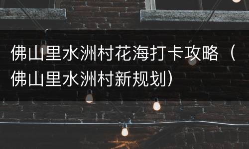佛山里水洲村花海打卡攻略（佛山里水洲村新规划）