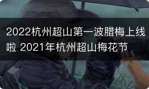 2022杭州超山第一波腊梅上线啦 2021年杭州超山梅花节