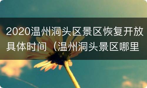 2020温州洞头区景区恢复开放具体时间（温州洞头景区哪里好玩）
