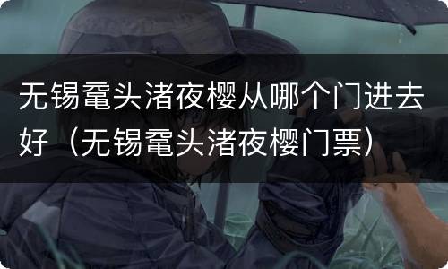 无锡鼋头渚夜樱从哪个门进去好（无锡鼋头渚夜樱门票）