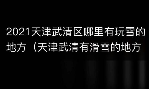 2021天津武清区哪里有玩雪的地方（天津武清有滑雪的地方吗）