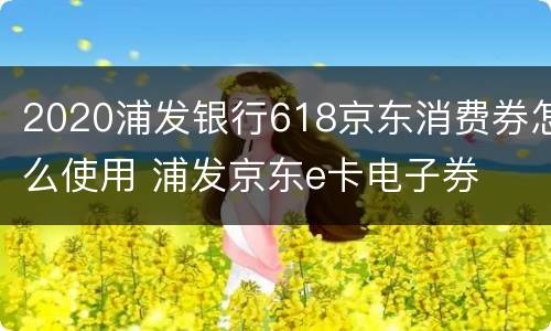 2020浦发银行618京东消费券怎么使用 浦发京东e卡电子券