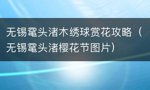 无锡鼋头渚木绣球赏花攻略（无锡鼋头渚樱花节图片）