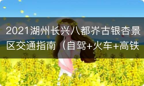 2021湖州长兴八都岕古银杏景区交通指南（自驾+火车+高铁+公交）