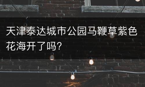 天津泰达城市公园马鞭草紫色花海开了吗?